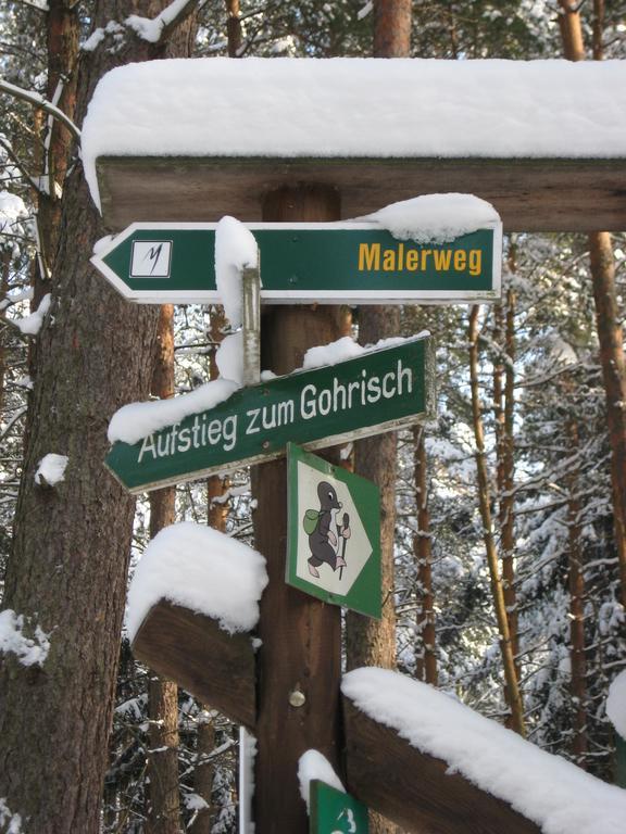 Ferienwohnung Am Waeldchen Kurort Gohrisch Exterior foto