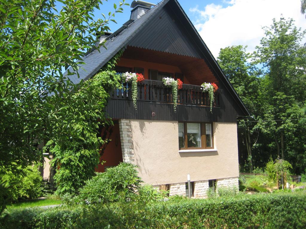 Ferienwohnung Am Waeldchen Kurort Gohrisch Exterior foto