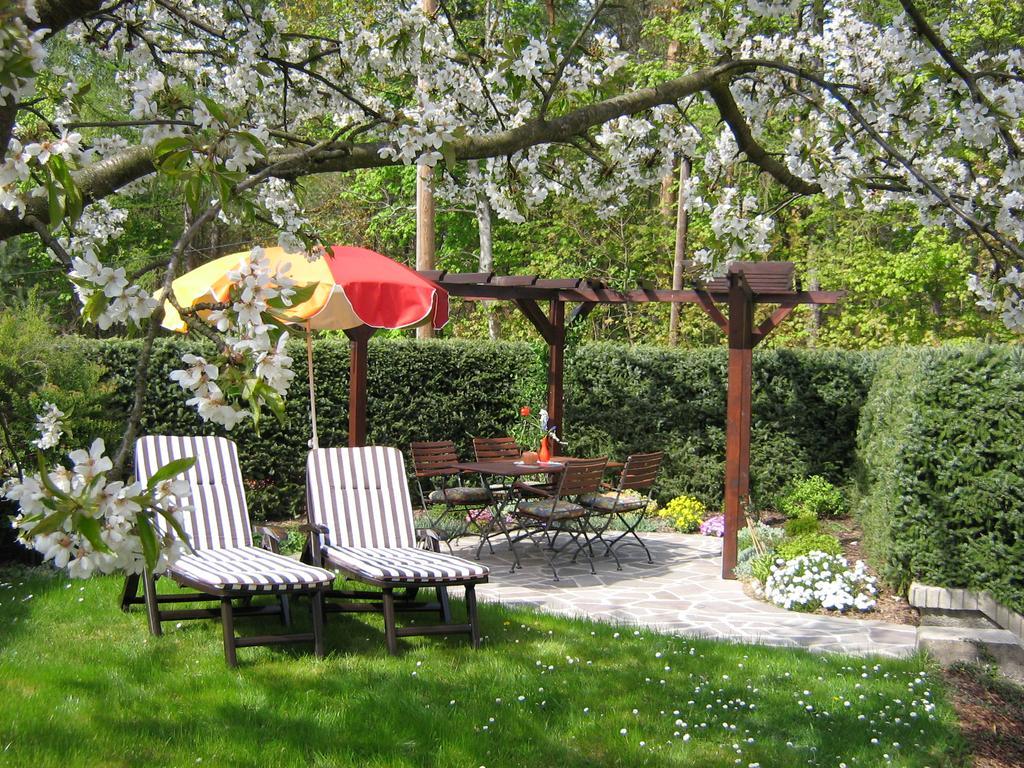 Ferienwohnung Am Waeldchen Kurort Gohrisch Exterior foto